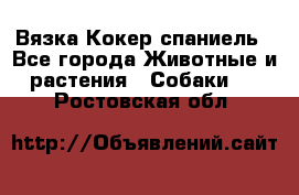 Вязка Кокер спаниель - Все города Животные и растения » Собаки   . Ростовская обл.